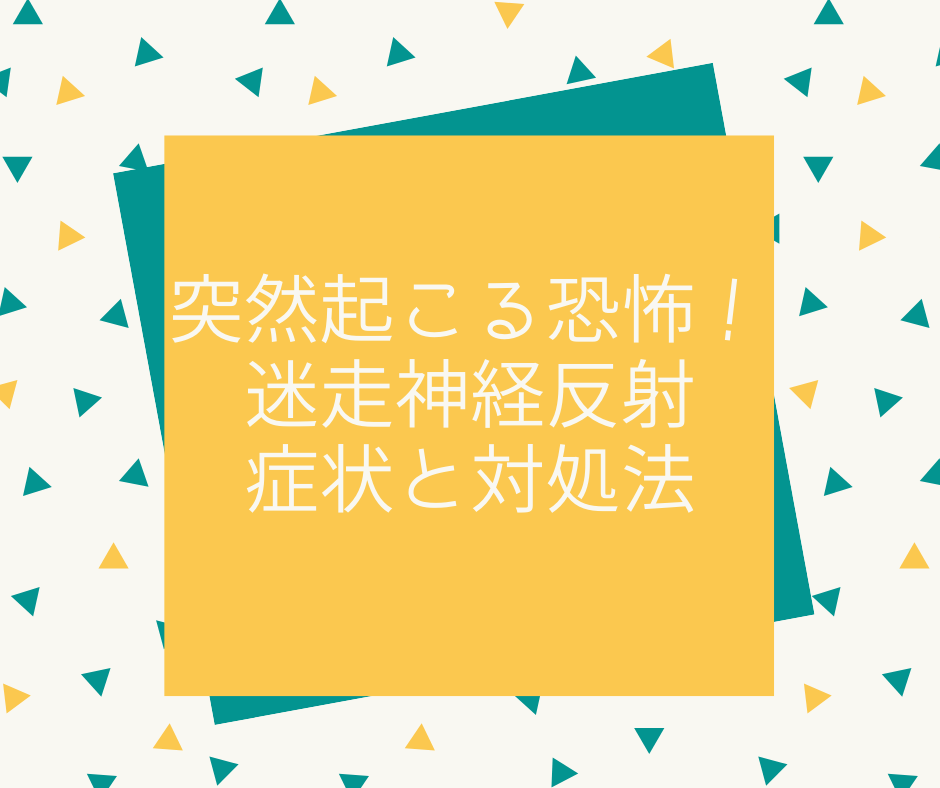 突然起こるめまいや吐き気の恐怖 私が体験した迷走神経反射とは 症状と対処法 はやしさんブログ